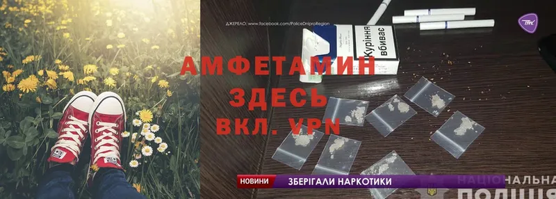 Amphetamine Розовый Мышкин